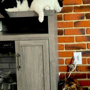 🦄More about me&my store!🛍